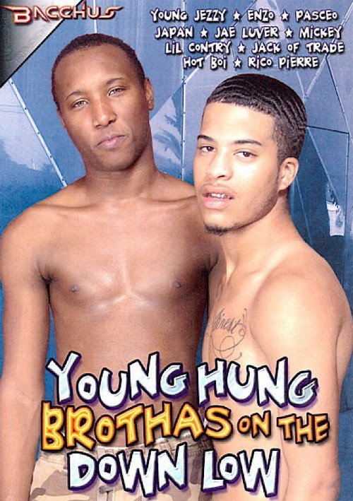 Movie poster for Young Hung Brothas on the Down Low (2010)