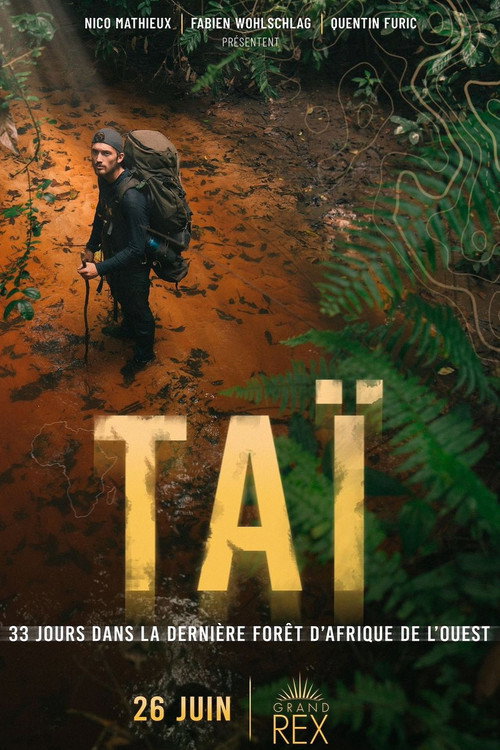 Movie poster for TAÏ: 33 days in the last primary West African forest (2024)