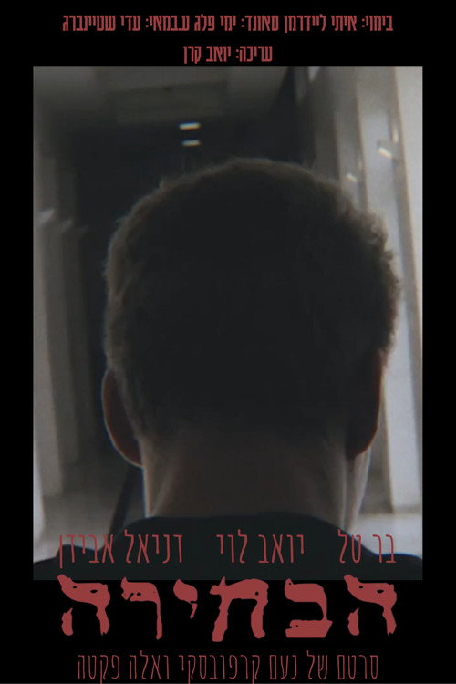 Movie poster for The Choice (2024)