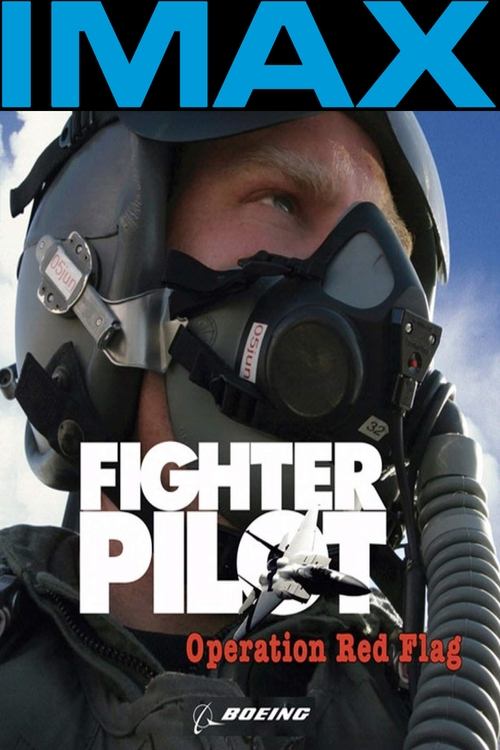 Movie poster for Fighter Pilot: Operation Red Flag (2004)