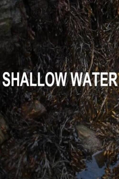 Movie poster for Shallow Water
