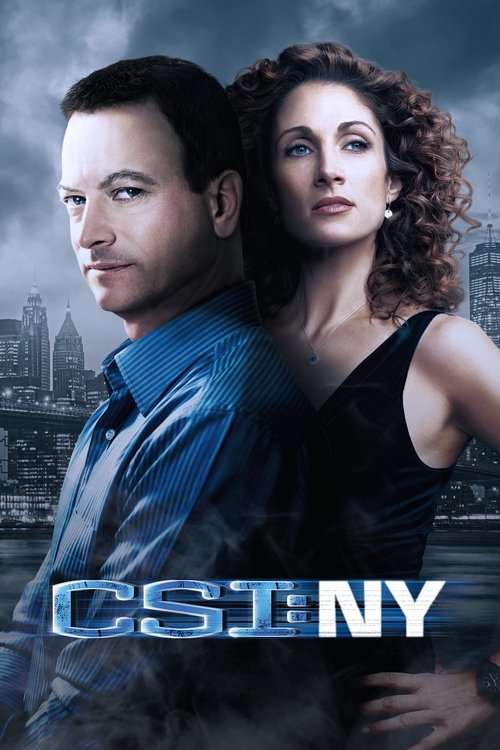 Series poster for CSI: NY (2004)