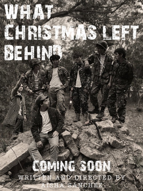 Movie poster for What Christmas Left Behind (2024)