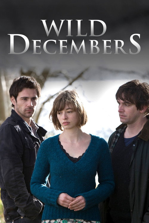 Movie poster for Wild Decembers (2009)