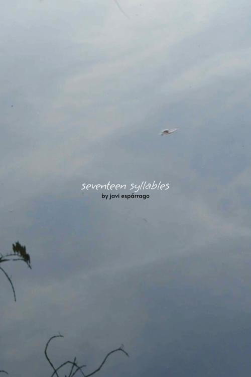 Movie poster for seventeen syllables (2020)