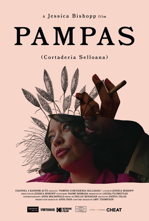 Movie poster for Pampas (2020)