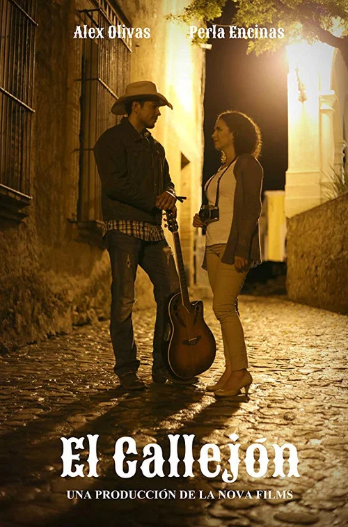 Movie poster for The Alley (2019)