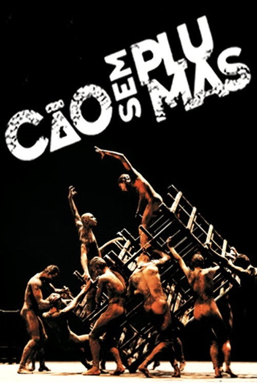 Movie poster for Cão sem Plumas (2020)