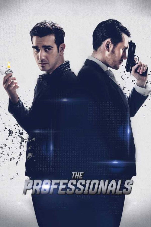 Movie poster for The Professionals (2016)