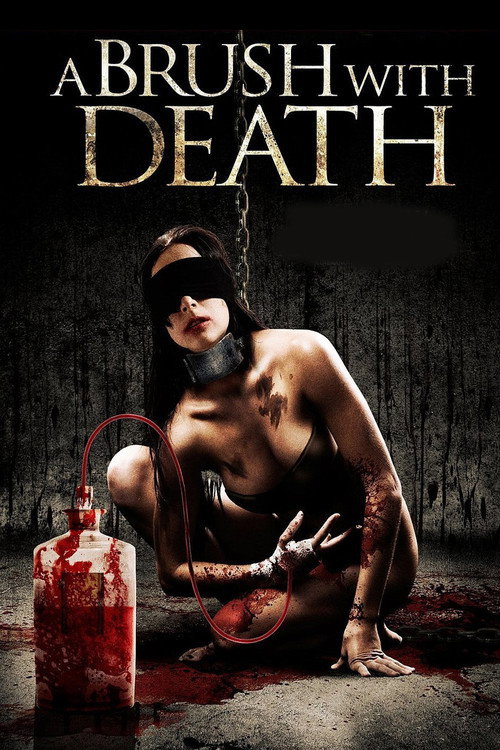 Movie poster for A Brush With Death (2007)