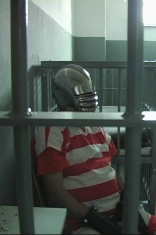 The Sixth Season poster