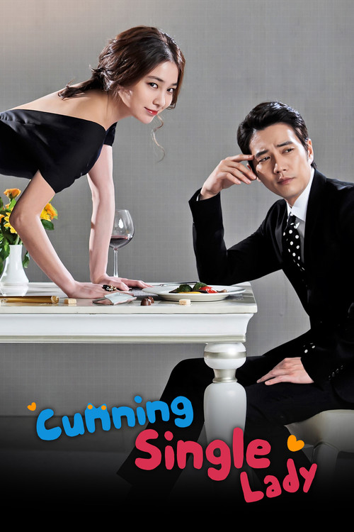 Cunning Single Lady poster