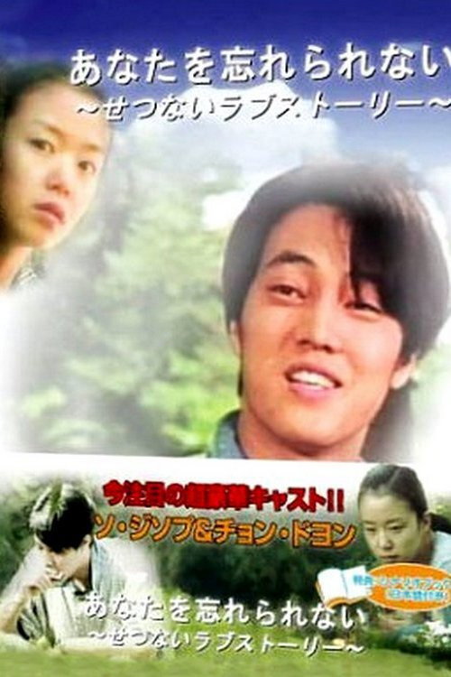 Movie poster for What You Cherish Can Never Be Forgotten (1998)