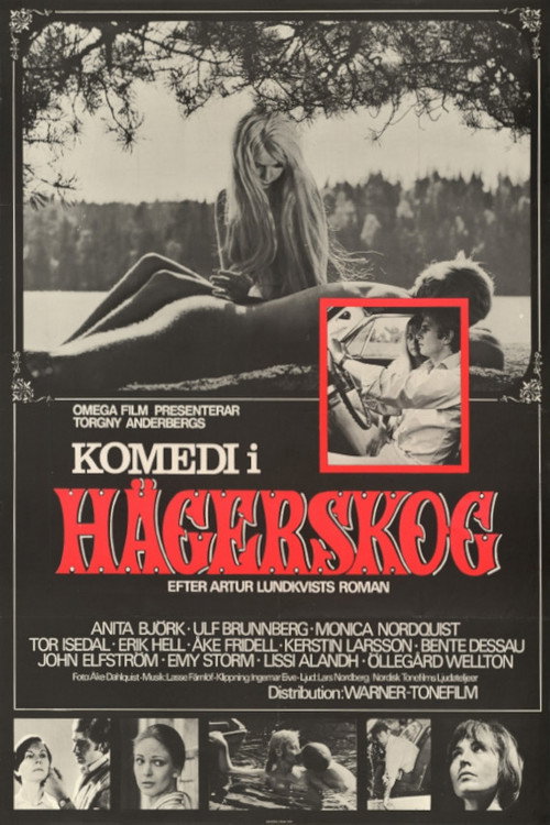 Komedi i Hägerskog poster
