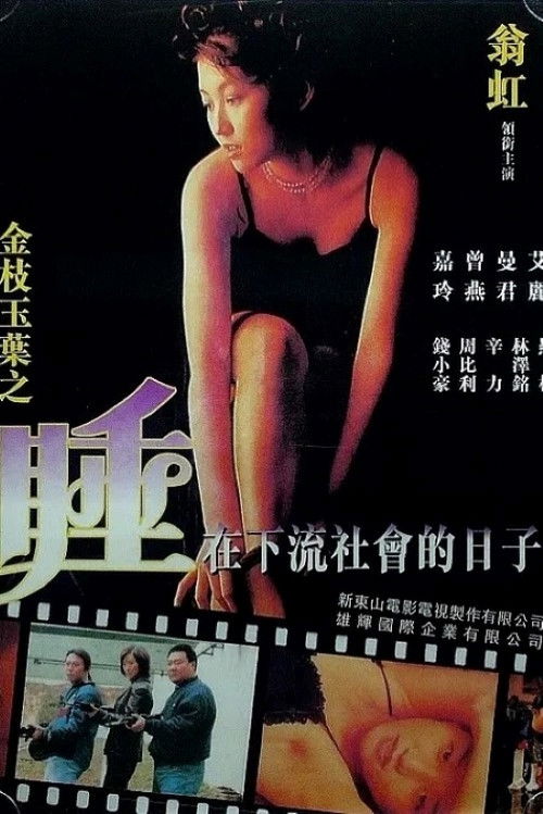 Undercover Girls poster