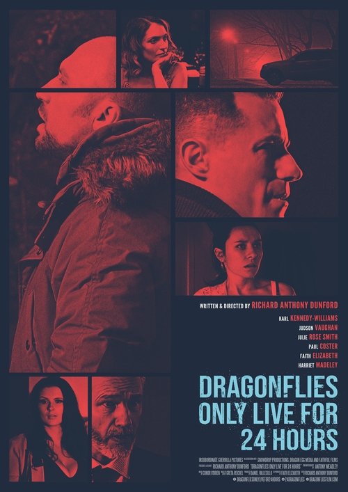Movie poster for Dragonfiles Only Live for 24 Hours (2018)