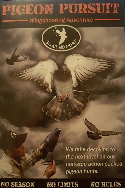 Movie poster for Pigeon Pursuit (2010)