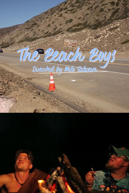 Movie poster for The Beach Boys (2024)