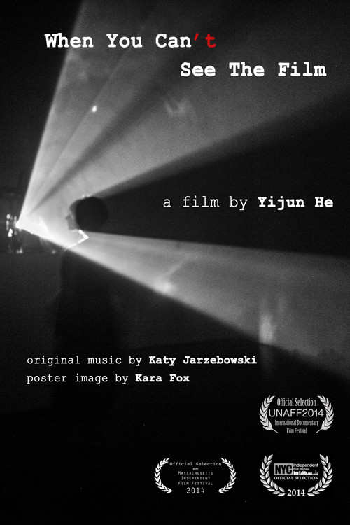 Movie poster for When You Can't See the Film (2014)