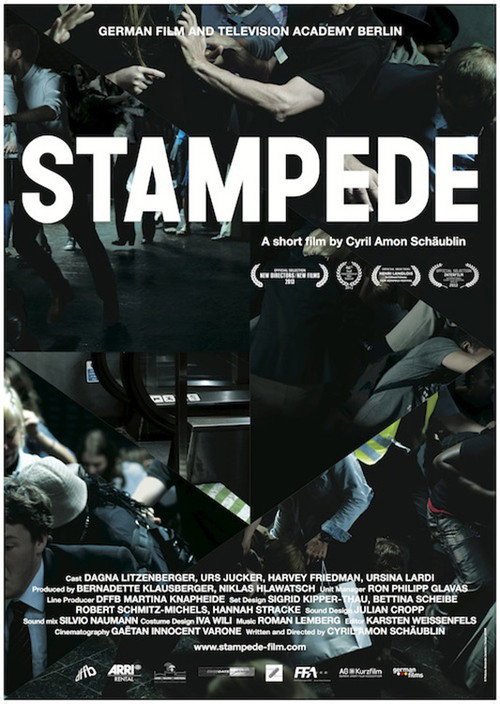 Movie poster for Stampede (2012)