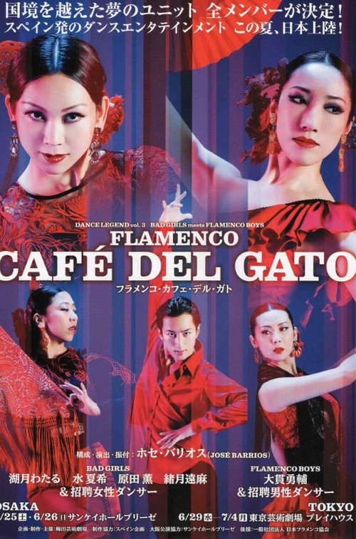 Movie poster for Flamenco Cafe Del Gato (2016)