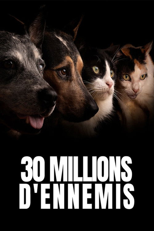 Movie poster for 30 millions d'ennemis (2026)