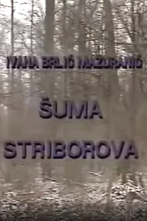 Movie poster for Stribor's Forest (1991)