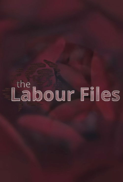 The Labour Files poster