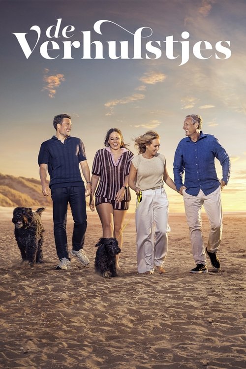 De Verhulstjes poster