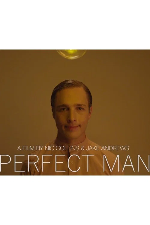 Movie poster for Perfect Man (2018)
