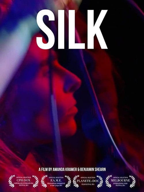 Movie poster for Silk (2013)