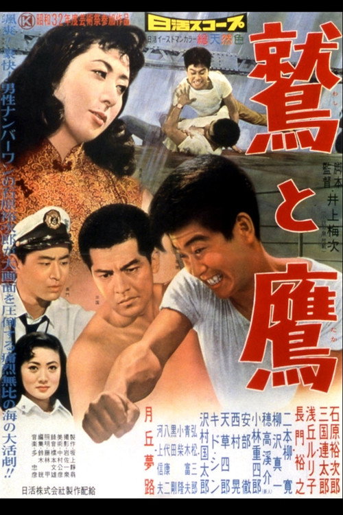 Movie poster for The Eagle and the Hawk (1957)