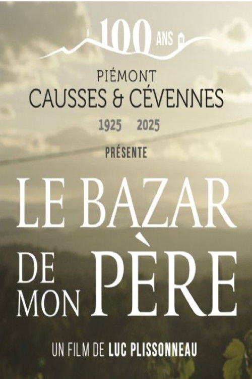 Le Bazar de mon père poster