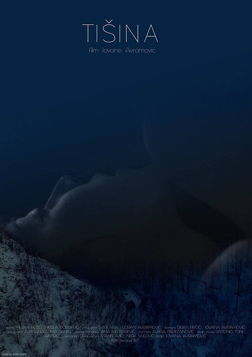 Movie poster for Silence (2017)