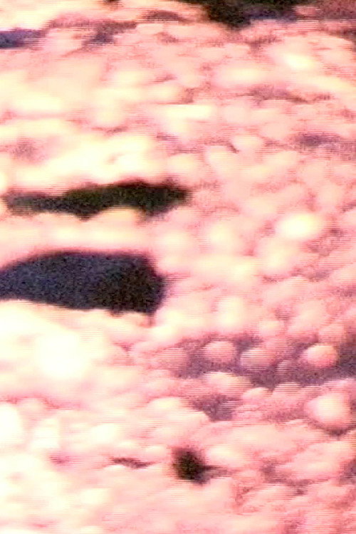 Movie poster for Once Upon a Time (2020)