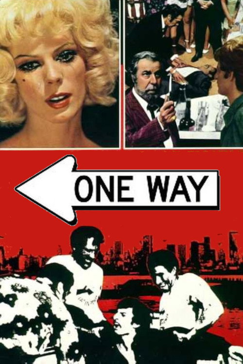 Movie poster for One Way (1973)