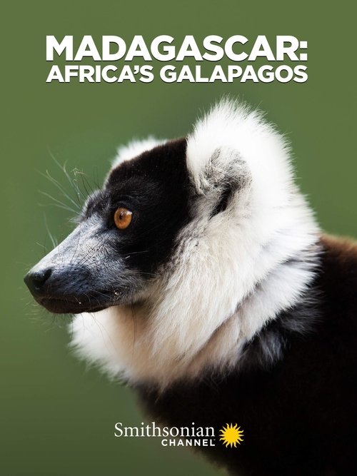 Movie poster for Madagascar: Africa's Galapagos (2019)