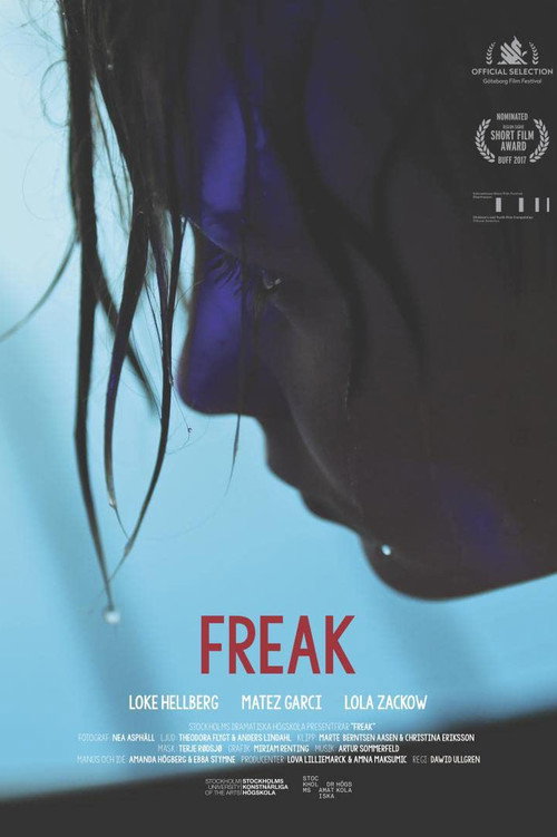 Movie poster for Freak (2017)