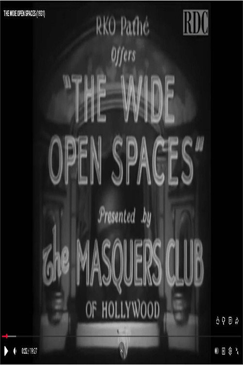 Movie poster for The Wide Open Spaces (1931)