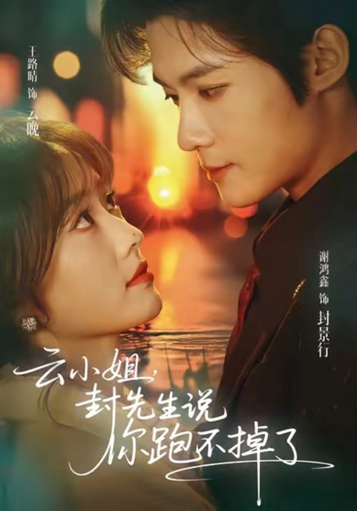 云小姐，封先生说你跑不掉了 poster