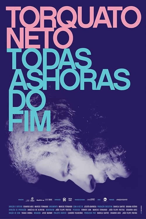 Movie poster for Torquato Neto - Every Hour of the End (2017)