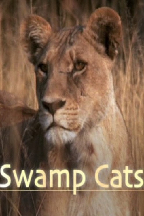 Movie poster for Swamp Cats (2004)
