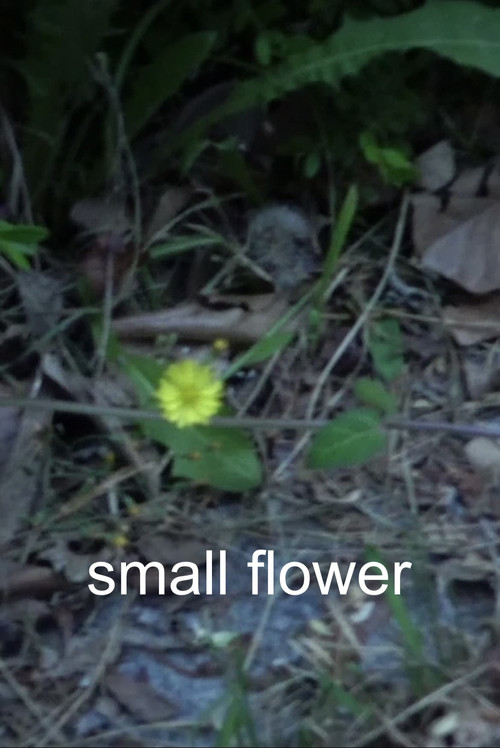 Movie poster for Small Flower (2022)