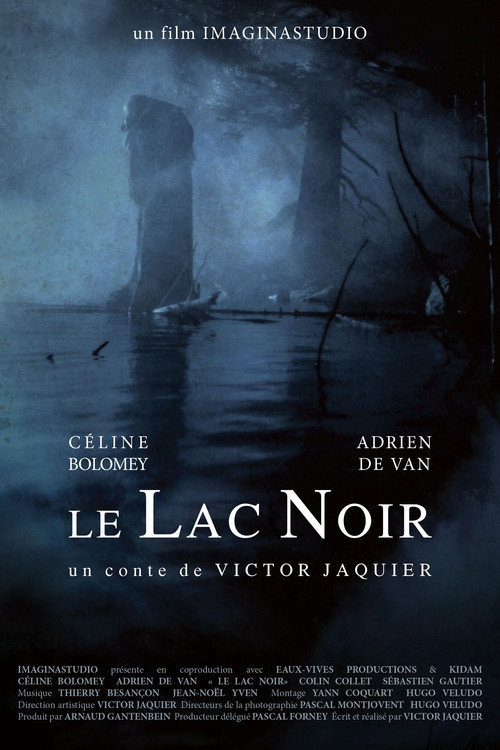 Movie poster for Le Lac Noir (2011)