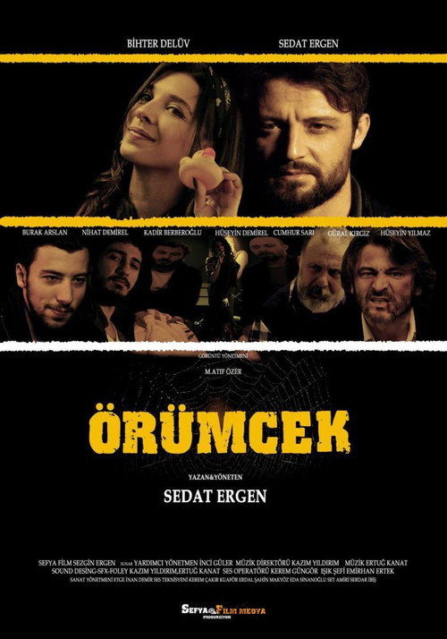 Movie poster for Örümcek (2017)