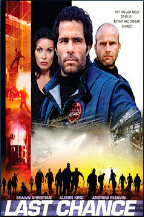 Movie poster for The Last Chance (2008)