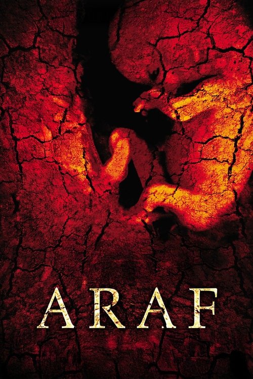 Movie poster for Araf (2006)
