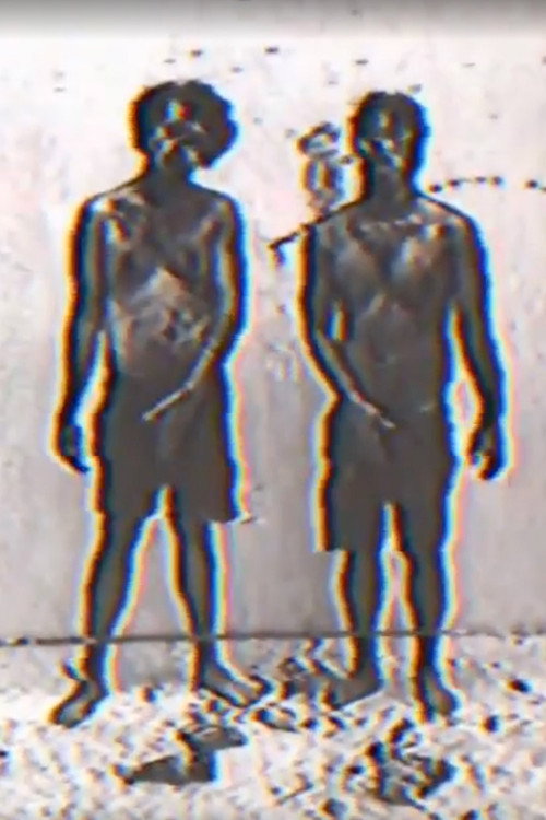 Movie poster for Fook Fook Boys (2017)