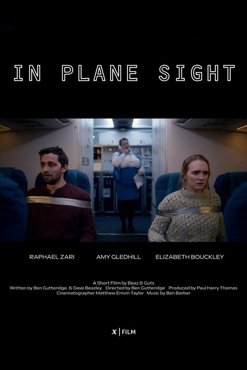 Movie poster for In Plane Sight (2023)