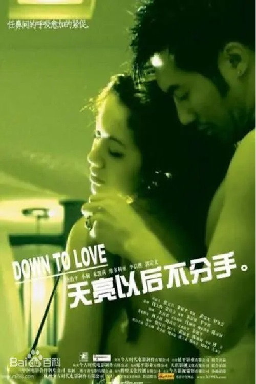 Movie poster for Down to Love (2006)
